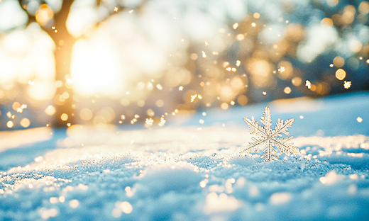 【喜報】中船風帆“‘產改’賦能、助工成匠”工作結碩果